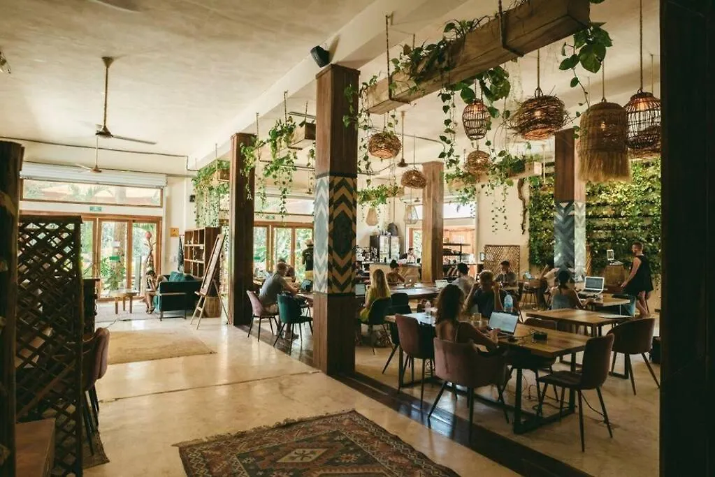 度假居 Casa Changuito Jungle-Based Villa In 图卢姆